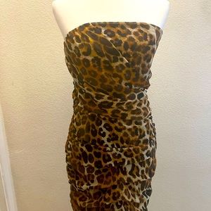 Gorgeous Express Leopard print dress